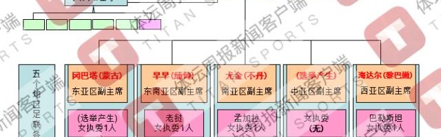 亚足联代表大会换届竞选大势：31人角逐25席