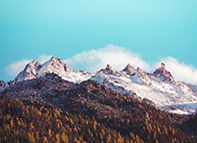 开云中国官网：一站式数字化生活入口的新标杆